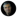 Rainer